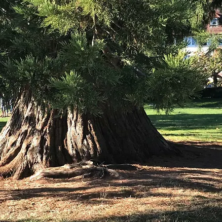 דירה Flat Gegenueber Kurhaus, Zentrum *
